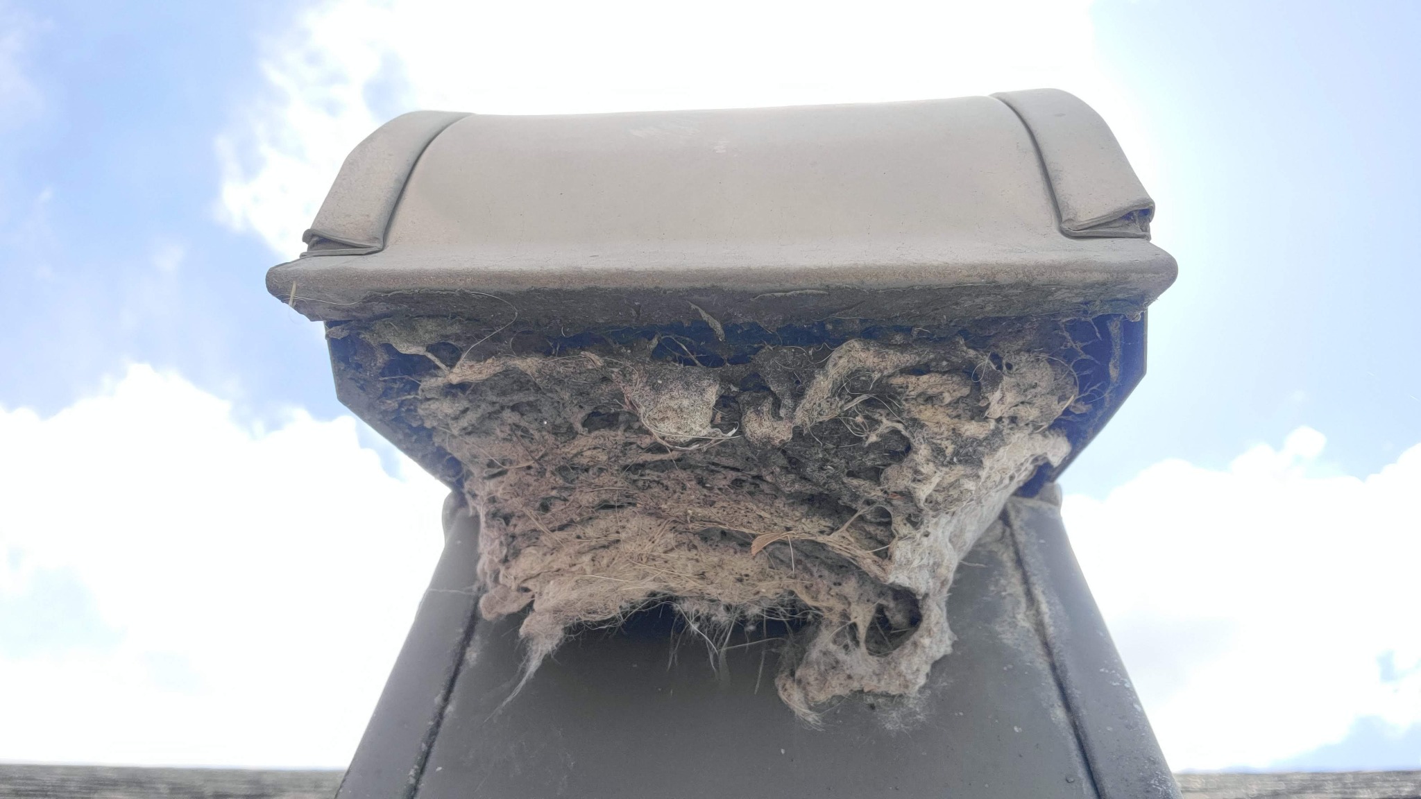 A severely clogged rooftop dryer vent before cleaning